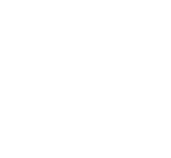 NMSDC-logo